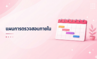 แผนการตรวจสอบภายใน