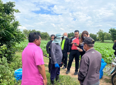 ตรวจสอบการดำเนินงานโครงการปรับโครงสร้างการผลิต การรวบรวม ... พารามิเตอร์รูปภาพ 4