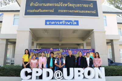 ตรวจสอบการเบิกจ่ายเงินงบประมาณ ... พารามิเตอร์รูปภาพ 1