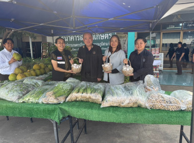 ตรวจสอบการเบิกจ่ายเงินงบประมาณ ... พารามิเตอร์รูปภาพ 11